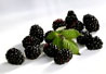 Blackberries