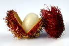 Rambutan