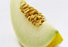 Honeydew melon