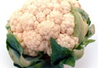 Baby Cauliflower